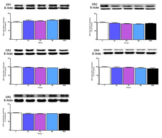 Relative expression levels of dopamine receptors (DRs) in the striatum of mice treated with As, Pb, Mn, As+Pb+Mn(APM) group. Values represent the means ± SEM of each group (n=5). Dopamine receptor 1 (D1DR); 8a, Dopamine receptor 2 (D2DR); 8b, Dopamine receptor 3 (D3DR); 8c, Dopamine receptor 4 (D4DR); 8d, Dopamine receptor 5 (D5DR); 8e * p < 0.05, ** p < 0.01, compared with the control group