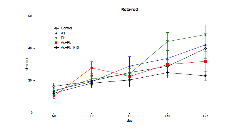 Motor coordination in C57BL/6 mice during the experimental period. Each value is the mean ± SEM (n=5). *p<0.05, compared with the control group