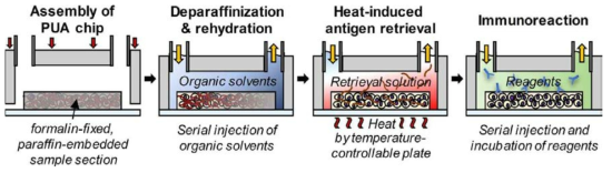 세포 및 조직 절편 시료와 결합하여 파라핀 제거, 항원성 부활을 포함하는 전처리 과정과 면역조직화학법을 연속적으로 미세유체환경에서 수행할 수 있는 마이크로플루이딕 플랫폼의 모식도
