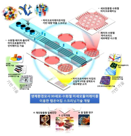 체외배양 3D세포어레이를 이용한 랩온어칩 약물 스크리닝 기술 개발 개요