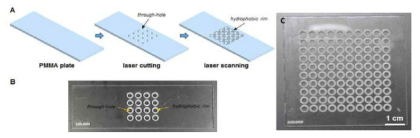 폴리머 재질을 기반으로 제작된 미세모듈어레이. (A) 레이저커터를 이용하여 동공의 제작, 소수성 테두리 식각 과정을 거쳐 미세모듈어레이을 제작하는 과정을 나타내는 모식도. (B) 실제로 제작된 폴리머 재질 기반 미세모듈어레이의 사진. (C) 10⨯10 규격의 미세모듈어레이의 사진
