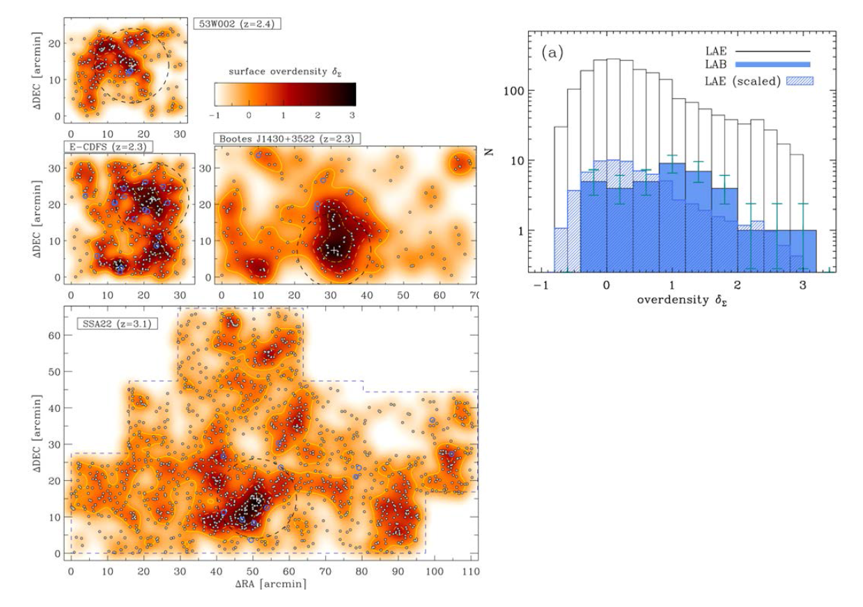 (왼쪽) z=2-3에 발견된 고적색편이 원시은하단 중 30분 보다 큰 영역에 대해 탐사자료가 존재하는 총 4개의 원시은하단의 그림 (Badescu et al. 2017). LAE와 Lyα 성운들이 각각 회색 점과 파란색 원으로 표시되어 있다. (위쪽) 4개의 은하단내의 Lyα 은하와 성운들의 주변밀도(local density) 분포. Lyα 성운들이 고밀도 지역의 중심보다는 “가장자리(outskirts)”에 주로 분포한다는 것을 보여주고 있다