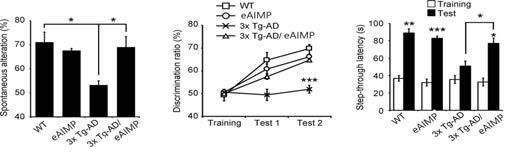 eAIMP에 의한 3x-AD mice 기억력감퇴 억제