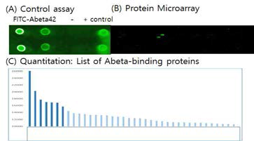iAbeta-binding protein 발굴