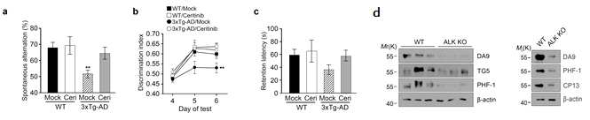 3xAD mice에 RTK inhibitor는 기억력회복(A-C), RTK KO 하면 tau 축적억제(D)