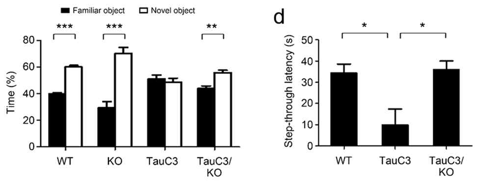 E2X KO로 tauC3 mice 기억력증진