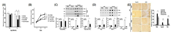 tauC3 mice에 pimozide를 처리하여 memory rescue(A,B)와 tau aggregation이 감소함(C-E)
