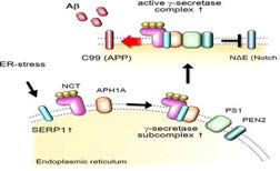 SA3(SERP1)모델