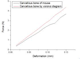 쥐 대퇴골의 해면골과 보로노이 다이어그램으로 생성한 해면골의 압축시험 결과 비교