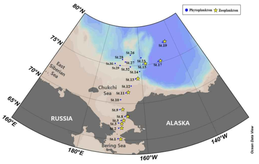 북극 베링해 북쪽해역 및 척치해 식물플랑크톤, 동물플랑크톤 시료 채집 정점도