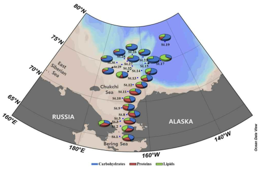 북극 베링해 북쪽 및 척치해 해역에서의 유광층 깊이 내 평균 식물플랑크톤 입자 유기 물질의 생화학조성 (탄수화물, 단백질, 지질)