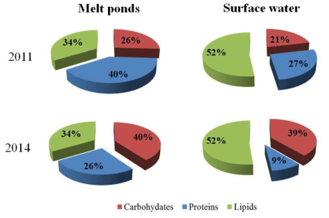 시기별(2011년, 2014년) 해빙과 수층에서의 생체고분자조성 차이