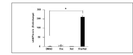 Intracellular cAMP leves in DLD-1 cells. Intracellular cAMP levels were measured in DLD-1 colorectal cancer cells after treatment with vehicle (DMSO), forskolin, rolipram, or combination of forskolin and rolipram. cAMP concentrations were not increased by forskolin or rolipram, but by forskolin and rolipram combination. This results suggest that intracellular cAMP levels are mainly controlled by PDE in these cells