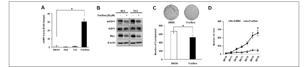 Resveratrol reproduces the effect of rolipram and roflumilast in DLD-1 cells.(A) DLD-1 CRC cells were treated with vehicle, resveratrol (20 μM, 14 h), forskolin (20 μM, 2 h), or the combination of forskolin and resveratrol, and the intracellular cAMP levels were measured. The data were represented as fold changes when the cAMP levels in cells treated with vehicle were set to 1. Co-treatment of resveratrol and forskolin dramatically increased cAMP levels while treatment of either agent alone had no effect (* p < 0.05; One-way ANOVA test). (B) Expression of Myc and the phosphorylation levels of 4EBP1 were analyzed after treatment with either DMSO or the combination of forskolin (20 μM) and resveratrol (20 μM) for 48 or 72 h. (C and D) Colony formation and cell proliferation were analyzed in the presence of either DMSO or the combination of forskolin (20 μM) and resveratrol (20 μM). * p < 0.05, Mann-Whitney U test