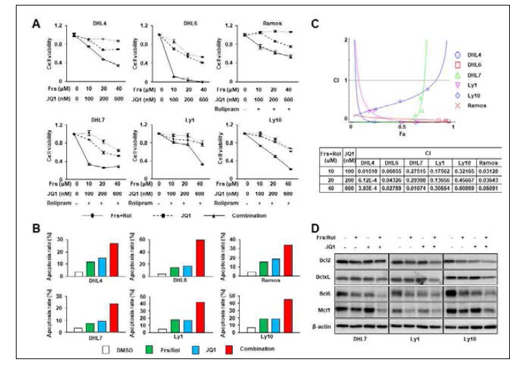 PDE4 and Myc inhibitors synergize in promoting cell death (A) PDE4B-low (DHL4 and DHL6) and –high (Ly1, Ly10, DHL7 and Ramos) cells were exposed to frs/JQ1 either in the absence or presence of rolipram as indicated, and MTS assays were performed to measure cell viability. (B) Apoptotic rates were measured by PI-staining followed by FACS analysis in six B lymphoma cell lines treated with DMSO, frs/rolipram, JQ1, or a combination of drugs for 48 h. The data represent the values after the subtraction of apoptosis rates in untreated cells. (C) Combination index (CI) values for quantifying drug synergy were obtained using the CompuSyn software using percent inhibition (fraction affected, Fa) from drug combinations as compared with single agents alone. Synergy levels are as follows: < 0.1, very strong synergism; 0.1-0.3, strong synergism; 0.3-0.7, synergism. (D) DHL7, Ly1, and Ly10 cells were treated with vehicle, frs (40 μM)/rolipram (40 μ M), JQ1 (500 nM), or combination for 24 h and whole cell lysates were prepared. Expression of indicated pro-survival factors and a transcription factor Bcl6 was analyzed by western blotting