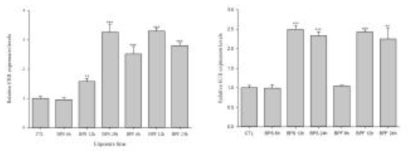 BPF와 BPS에 노출된 D. celebensis에서 ERR과 EcR 유전자의 발현 양상