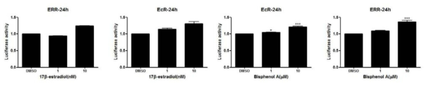 24시간 17b-estradiol과 BisphenolA에 노출 후 ERR과 EcR-luciferase vector containing cell line에서 luciferase activity