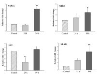 4-NP(100 μg/L)에 대한 detoxification – related genes의 발현 변화