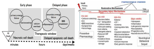 Cascade in ischemic stroke (left)(Lara-Celador et la., 2013) and TBI (right) (Gupta RK et al., 2013)