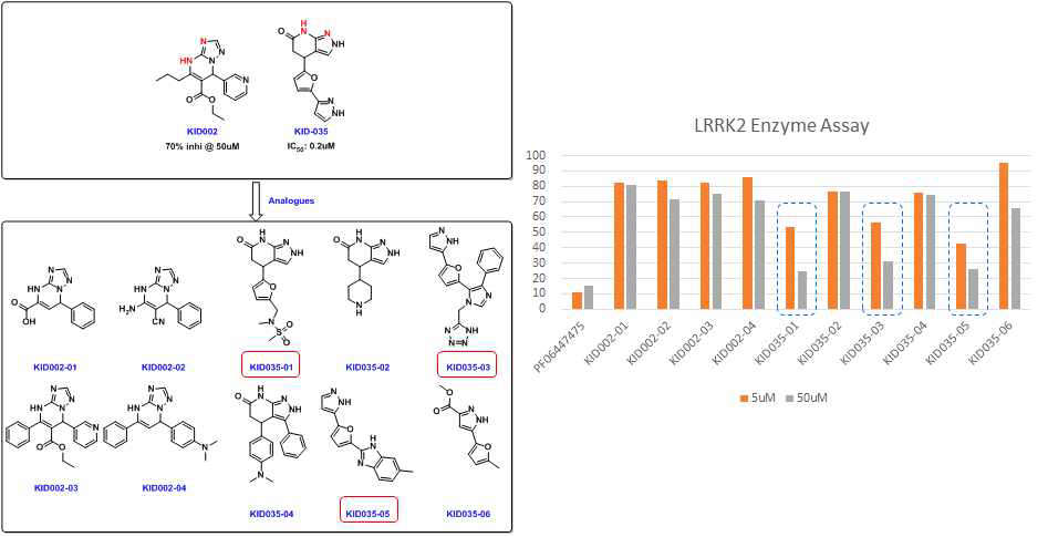 Triazolopyrimidine core를 갖는 화합물과 tetrahydropyrazolopyridinone core를 갖는 화합물의 구조 및 활성 테스트 결과