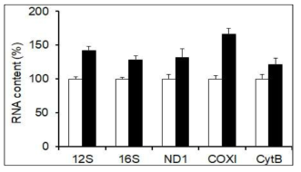 TFB2M homozygote variant 배아섬유아세포의 사립체 전사체 양