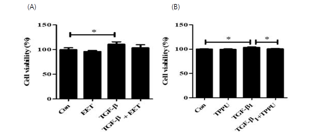 (A) 폐 섬유아세포의 세포생존에 11,12-EET가 미치는 영향 (B) sEH 억제제인 TPPU가 세포생존에 미치는 영향