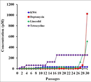 Susceptibility of KW4 and antibiotics to the drug-resistant development in the Staphylococcus aureus ATCC 29213 strain