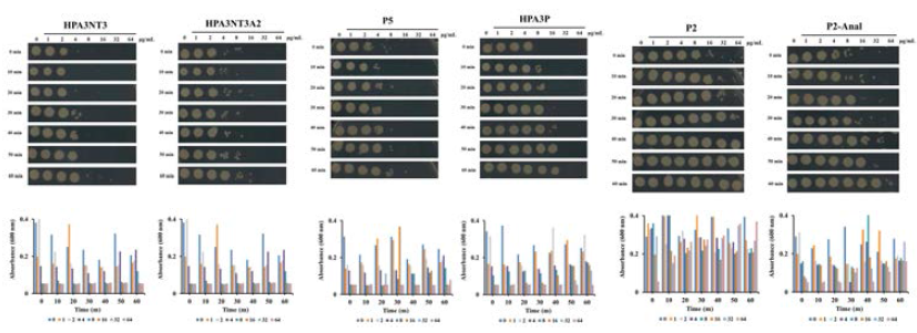 Antimicrobial activity of developed antimicrobial peptides against drug-resistance A. baumanii strains in human serum