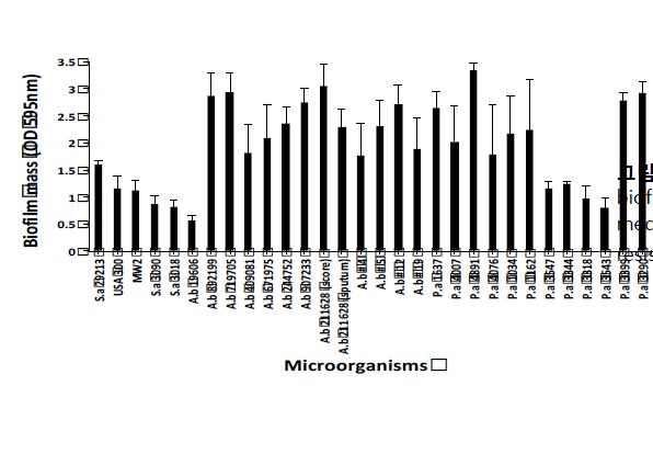 The degree of biofilm formation in MHB media with 0.2% glucose by resistant bacteria strains