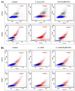 Anti-inflammatory activity of KW4 peptide on induced inflammation reaction in RAW 264.7 cells. KW4 peptide was inhibited of CD14 and TLR2 expresses which 1 μg/ml S. aureus-LTA (A) and S. aureus 1630 (5x105cfu/ml) (B) It was added to induce expression of inflammatory receptor on the RAW264.7 cells for reacted for 6h