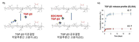 재분화 관련 인자인 TGF-β3가 도입된 고분자의 합성 및 TGF-β3의 방출 분석