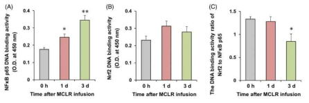 신경독성용량의 MCLR 투여 후 시간에 따른 NFkB DNA binding activity 및 Nrf2 DNA binding activity의 변화. *P < 0.05, **P < 0.01 vs. O h after MCLR (ANOVA 검정. 사후검정으로 Fisher’s LSD평가를 실행하였음)