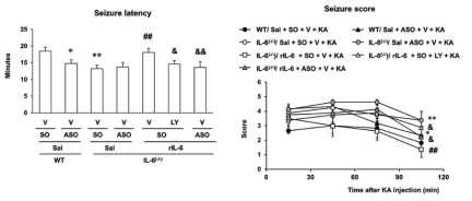 카인산에 의한 경련에 대한 IL-6의 효과. 각 수치는 6-8마리의 평균 ± 표준오차임. *P < 0.05, **P < 0.01 vs. WT/ Sal + Cp SO + Vehicle + KA; ##P < 0.01 vs. IL-6(-/-)/ Sal + Cp SO + Vehicle + KA; &P < 0.05, &&P < 0.01 vs. IL-6(-/-)/ rIL-6 + Cp SO + Vehicle + KA (ANOVA 혹은 repeated measures ANOVA 검정. 사후검정으로 Fisher’s LSD평가를 실행하였음)