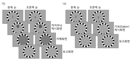 (가) SED 측정 절차. (나) 훈련 절차