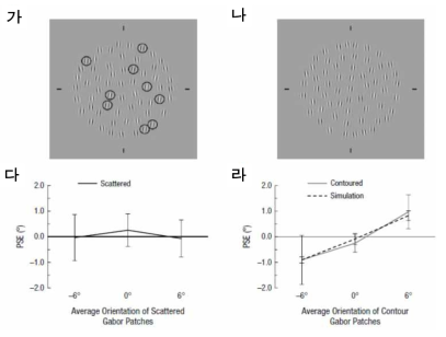 표면과 가보로 이루어진 자극에 대한 참가자들의 방위 평균 계산 능력 및 확산 모형 모사 결과