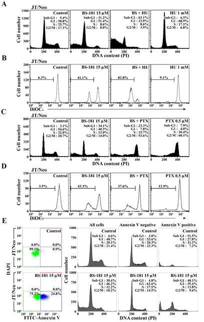 Effect of BS-181 on cell cycle distribution and mitochondrial membrane potential in G1 arrested cells (A, B) or G2/M arrested cells (C, D) and cell cycle distribution of BS-181-mediated early apoptotic cells in JT/Neo and JT/BCL-2 cells