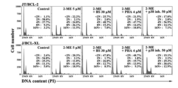 Cell cycle distribution of BS-181 or PHA-767491-treated polyploid JT/BCL-2 or J/BCL-XL cells