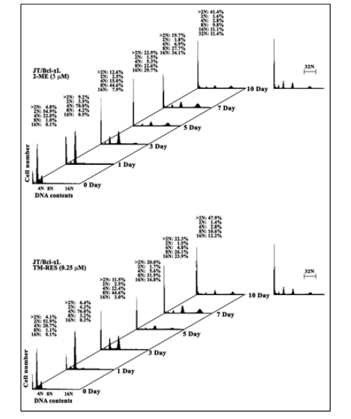 Time kinetics of polyploid formation and apoptosis in JT/BCL-XL cells overexpressing BCL-XL