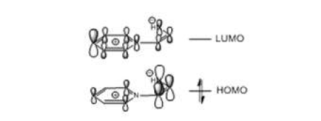 양쪽성이온의 HOMO/LUMO