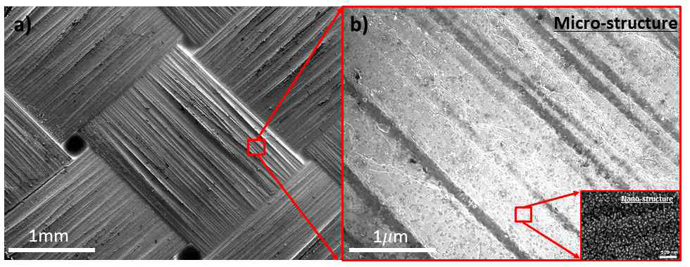 ZnO 나노와이어가 성장된 탄소섬유 표면 SEM 사진