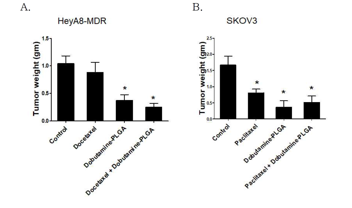 SKOV3와 HeyA8-MDR 세포주의 mouse model에서 dobutamine-PLGA 나노입자의 치료효과 확인
