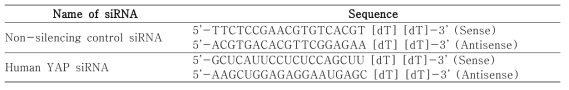 siRNA sequence