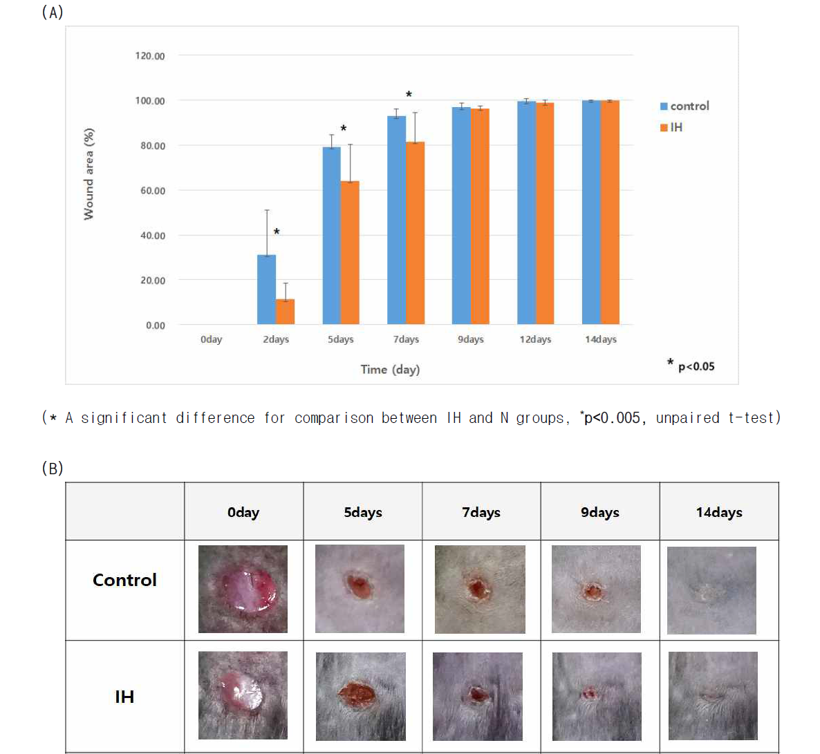 간헐적 저산소증이 mouse 피부의 상처 회복에 미치는 영향