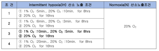 간헐적 저산소증의 산소노출 조건