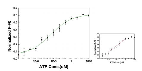 ZnO 나노기둥 어레이의 형광이미지를 기반으로 한 ATP 정량화 데이터