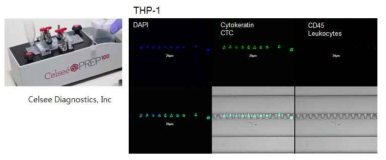 Celsee를 이용한 THP-1 leukemia 세포의 검출