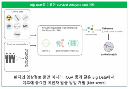 Big Data를 이용한 Survival Analysis Tool 개발의 원리