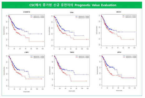 Big Data를 이용한 Survival Analysis Tool 개발의 예시