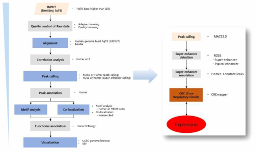 H3K27ac CHIP-seq analysis를 위한 workflow