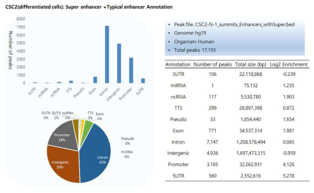 분화된 딸세포에서 Super enhancer + Typical enhancer annotation